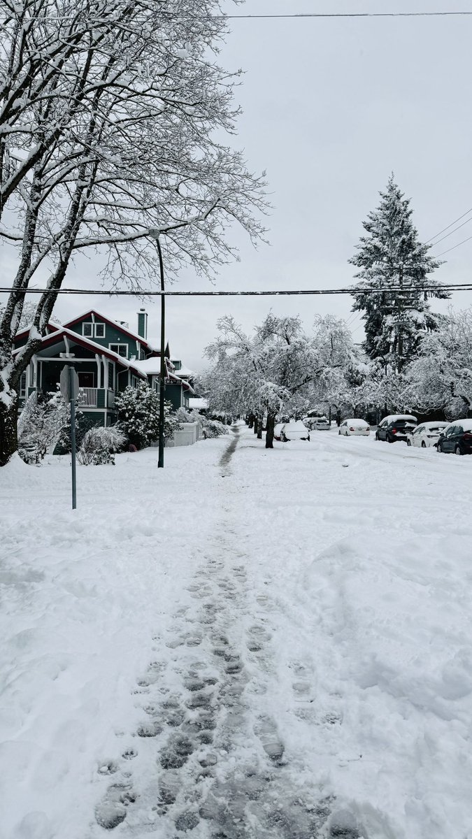 AnaIsabelZepeda's tweet photo. Más de 30cm de nieve ❄️🌨️ https://t.co/j722YKpfaG