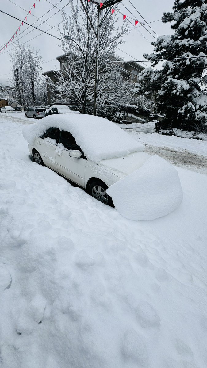 AnaIsabelZepeda's tweet photo. Más de 30cm de nieve ❄️🌨️ https://t.co/j722YKpfaG