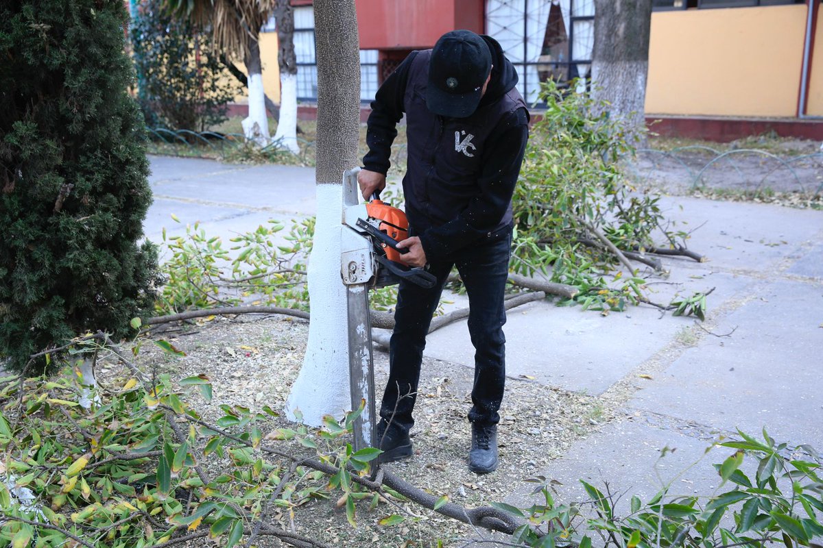 evelyn_parraA's tweet photo. 🧰Realizamos la #JornadaDeServicios⚒️ en la Unidad Habitacional Corazones de Manzana, colonia Jardín Balbuena, para escuchar a l@s vecin@s y brindarles diferentes acciones en beneficio de su entorno.🏡
#PorElBienestarDeVCarranza https://t.co/QlrM32PE2H