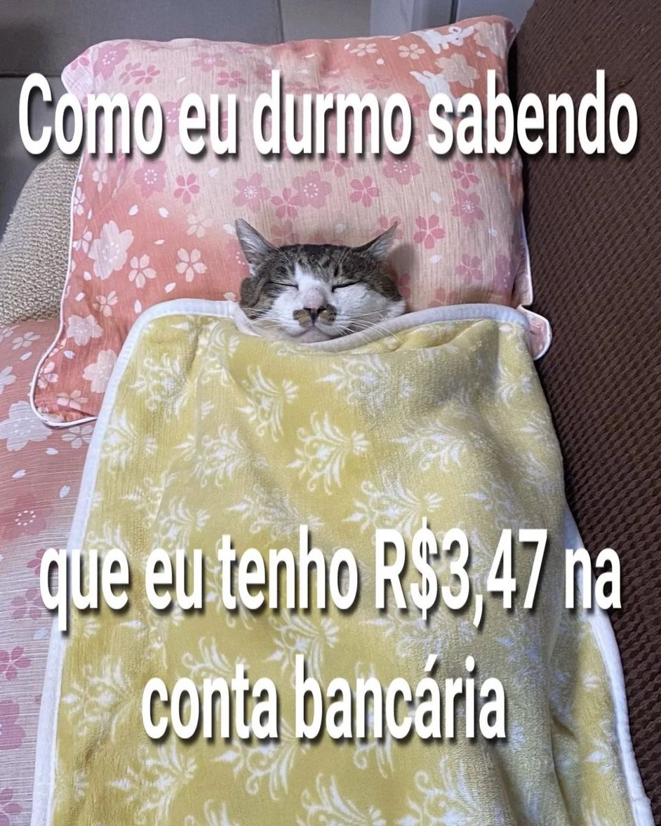 Trouxinha (@euovitinn) on Twitter photo 