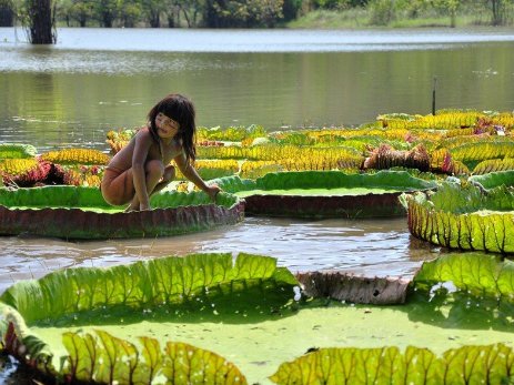 Rodriguesmoreira Wézley (@wezley155) on Twitter photo 