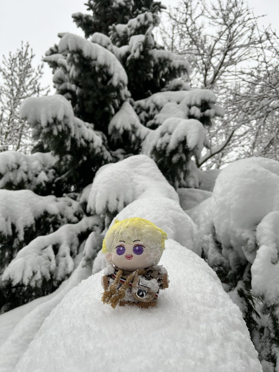 humamamadan's tweet photo. Sani in snow muahahahaha https://t.co/j7lYVStjWp