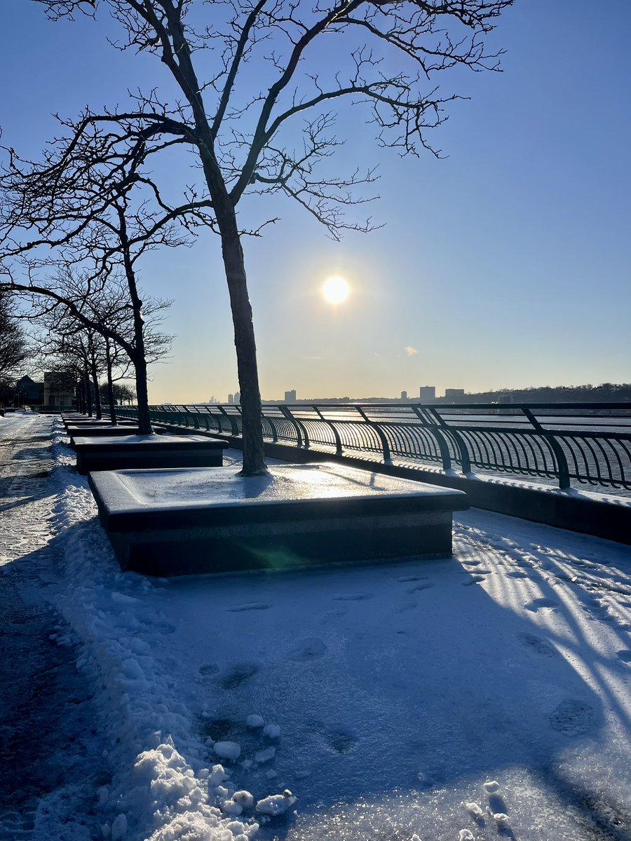 RosannaWright's tweet photo. 'Ice Day NYC' - RoseJW 🌹🖤🎶

#IceDay #Ice #Wednesday #Recovery #Healer #Power #Independent #January #Colour #Winter #Real #Solitude #Beautiful #DailyStyle #Walk #Run #Light #Gratitude #Joy #Nature #Trees #Flowers #Streets #Urban #Harlem #Home #NY #NYC #Rose #RJW 
- For Tibby https://t.co/h3hJq0juWF