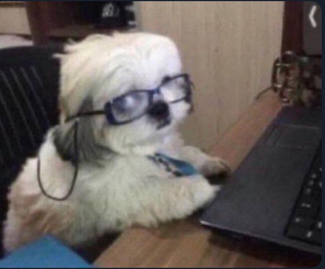 OogTarTweet's tweet photo. How I look at another 10 emails from NSHSS even after I graduated https://t.co/6ZEfSLp1hT