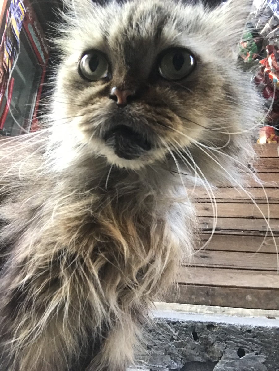 渐入 (@vanlounge7788) on Twitter photo 