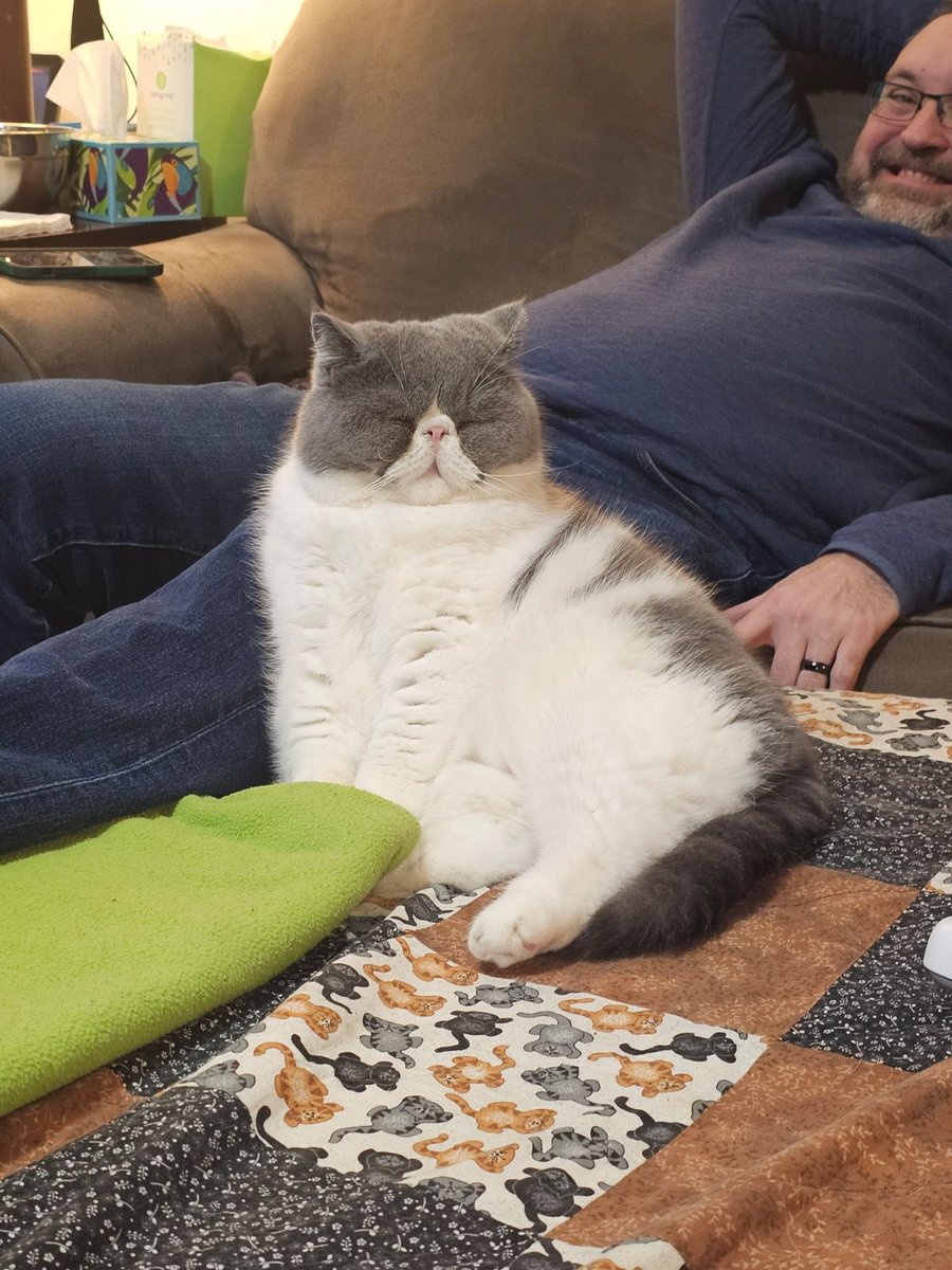 Kevin Bows 🐈🎞️🕰️ tweet media