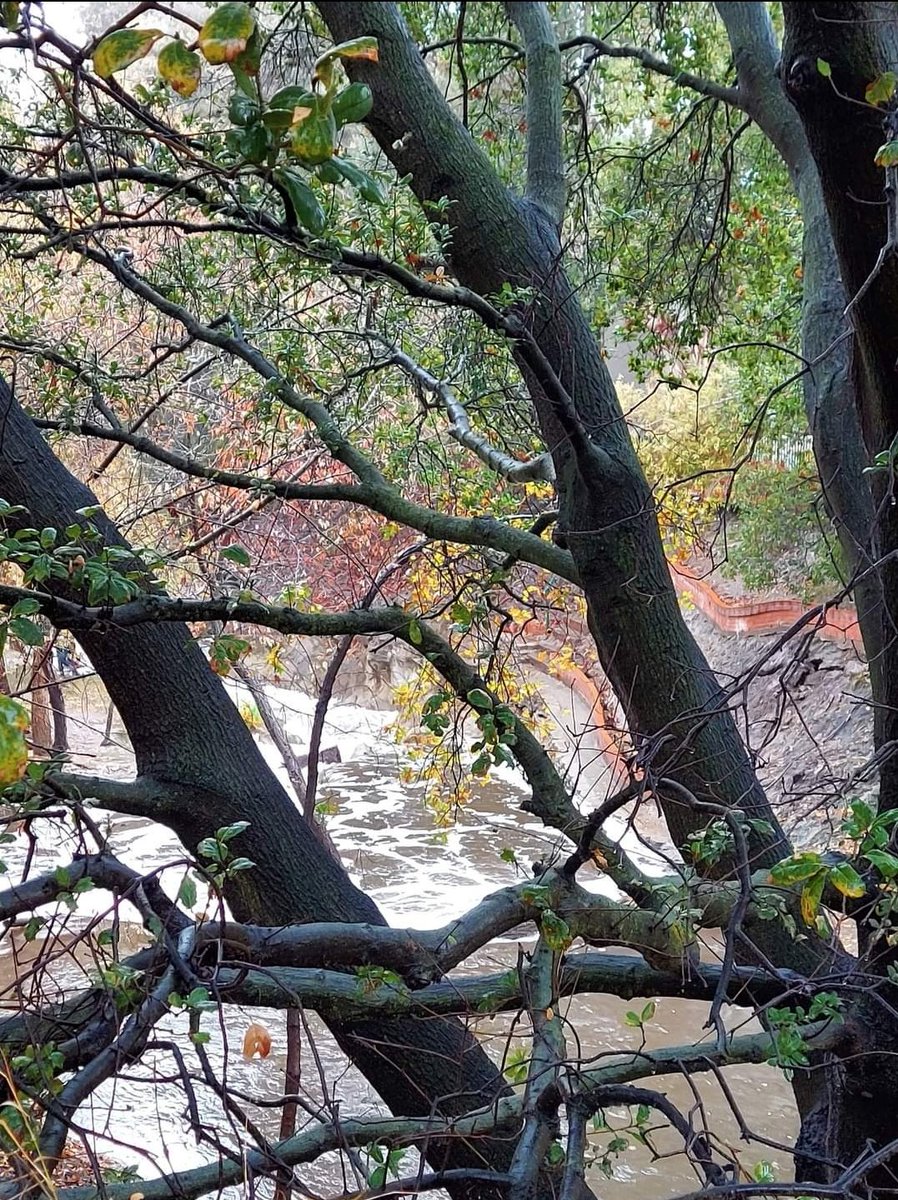 the1flowerchild's tweet image. After the rain ❤
#winterlove
#takeapic