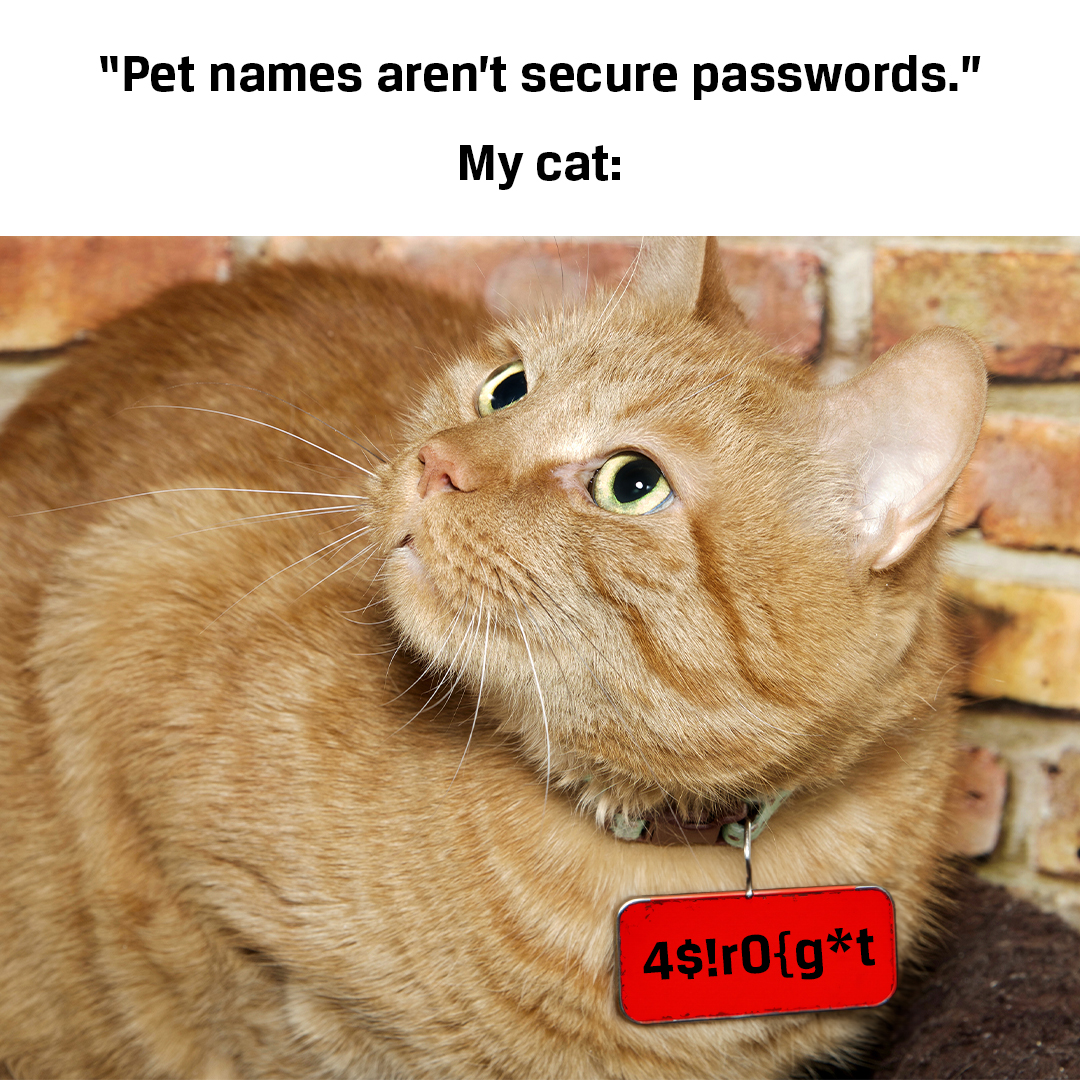 onestepsecureit's tweet image. Meet our exception to the rule – if you&apos;re scrolling past this post. Consider it your sign: your password could use some attention! 🐾🔐  

#CybersecurityReminder #Humpday #PasswordUpdate