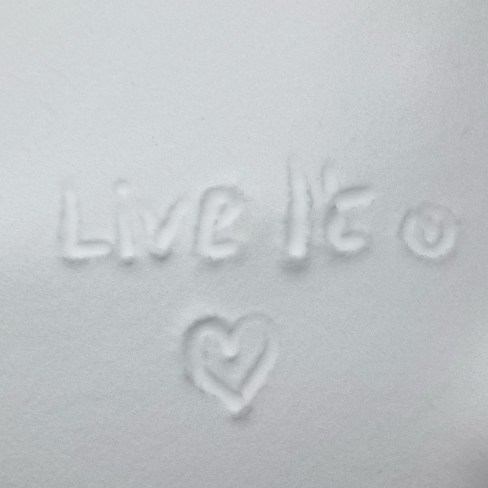 LiveItearth's tweet photo. Today's vibe in British Columbia 🥶💙 We hope you and the kids are enjoying the fresh snow! 

According to the forecast, these are pefect conditions to watch our glacier show!❄️ https://t.co/TuR8ujhi2m