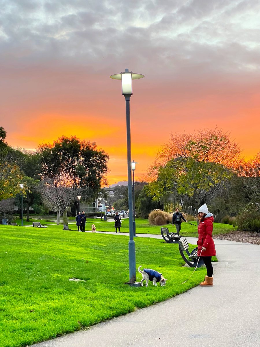 Atardeceres de invierno #SanFrancisco 📍