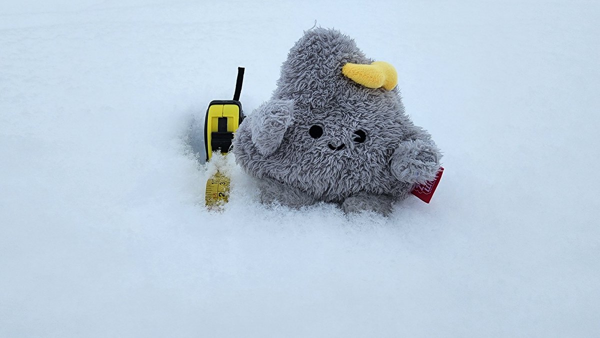 Brad604's tweet photo. Vancouver just recorded its Snowiest Day during an El Nino since December 31st, 1968. Since then, we have had 19 El Nino episodes. #bcstorm https://t.co/Zxzt83QzqV