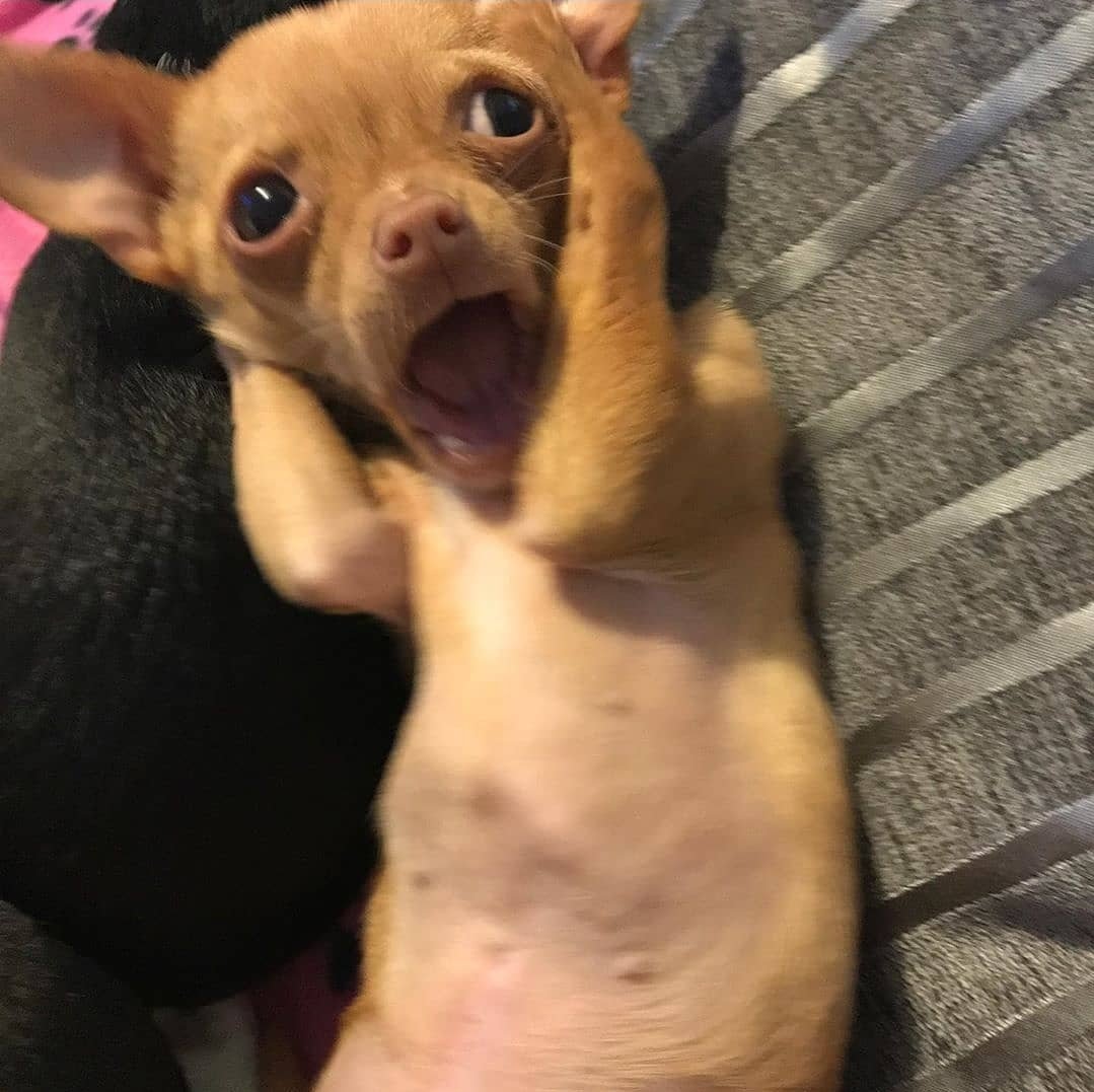 iAm_Abner tweet media