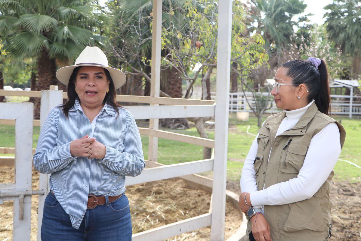 Secretaría de Medio Ambiente tweet media