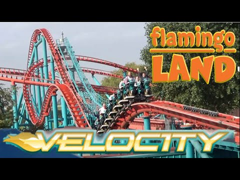 🚲🚲 VelociTim 🚲🚲🔥 tweet media