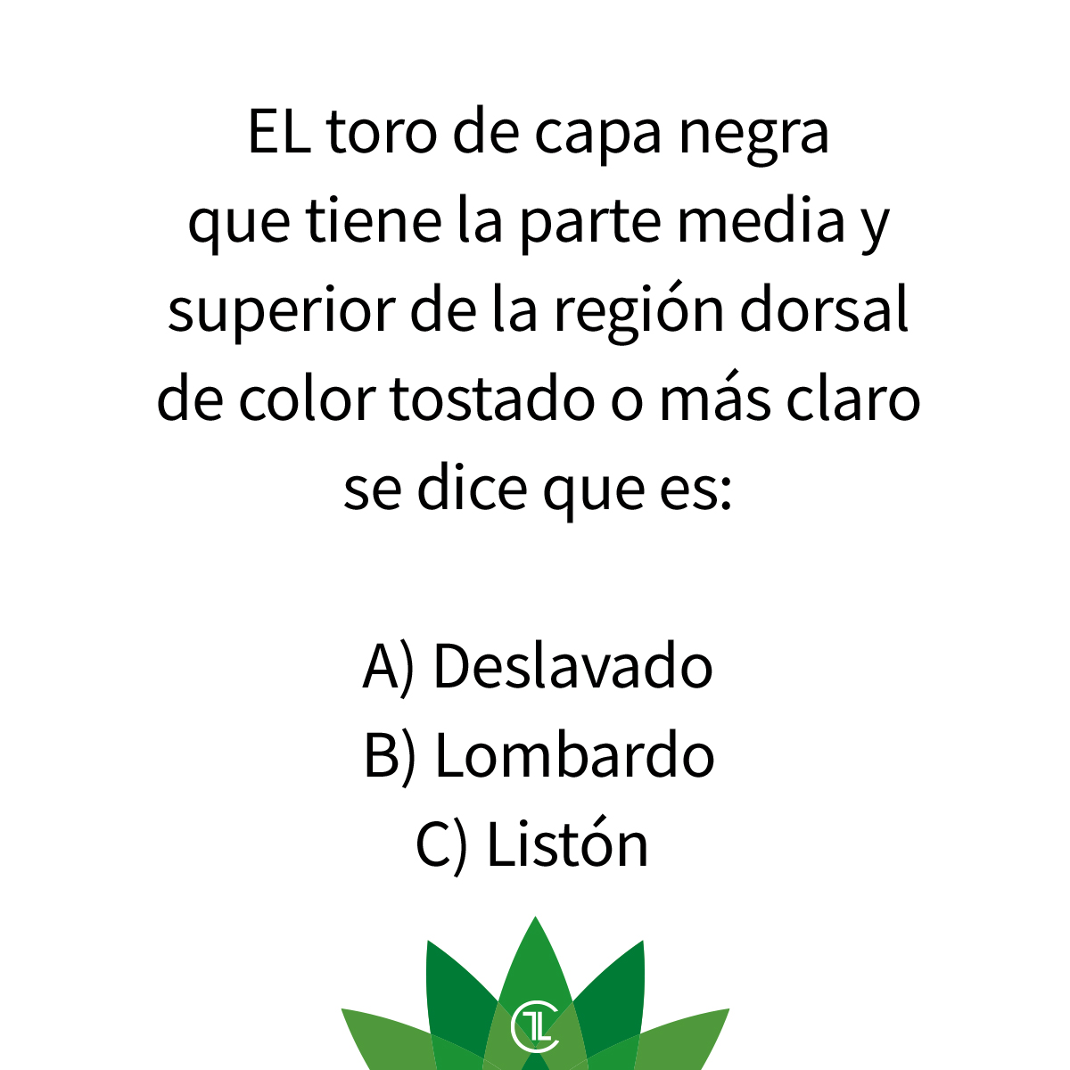 💡 ¡Hora de brillar con tu conocimiento! Participa en nuestro cuestionario y anima a tus amigos a hacer lo mismo.
 #quizz #aprendiendo #sialostoros #campobravomexicano #tauromaquia