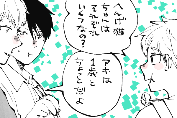 🐱キラキラにゃんこ生活
年齢の話😺 
