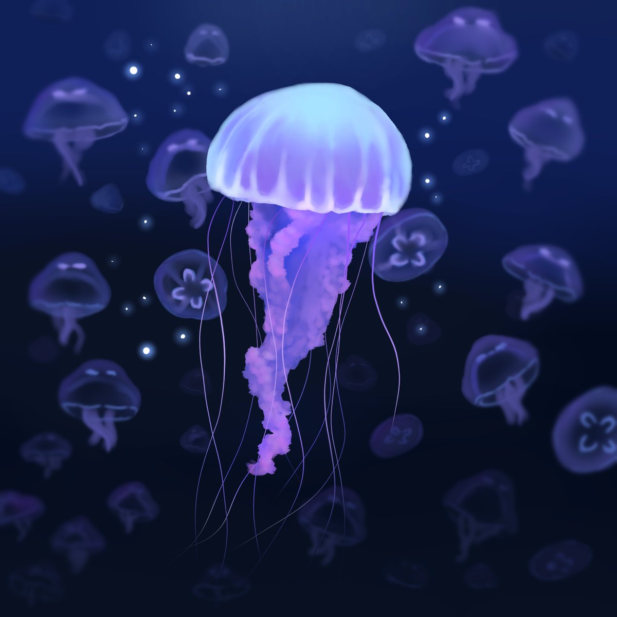 Zero_The_Alien's tweet photo. ~Jellyfish~
#digitalart #commissionsopen #artmoots #jellyfish https://t.co/iNRwJgHYtD