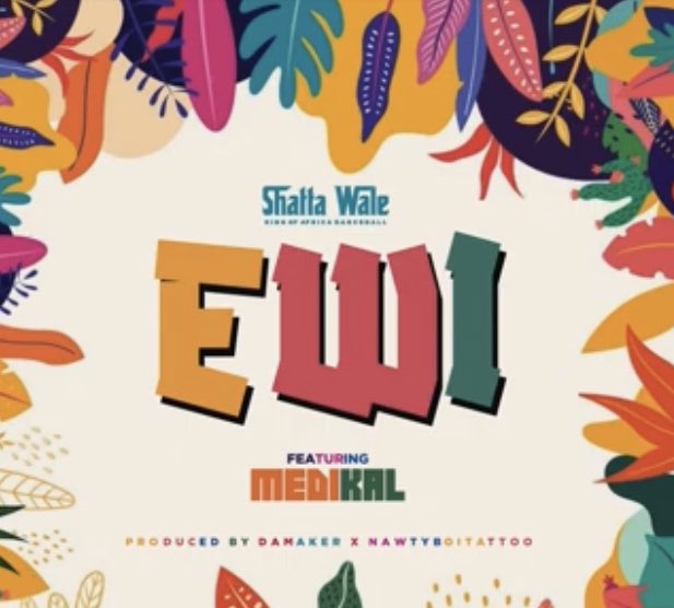 ShattaBianca's tweet image. Shatta Wale X Medikal #Ewi 

audiomack.com/shattawalenima…