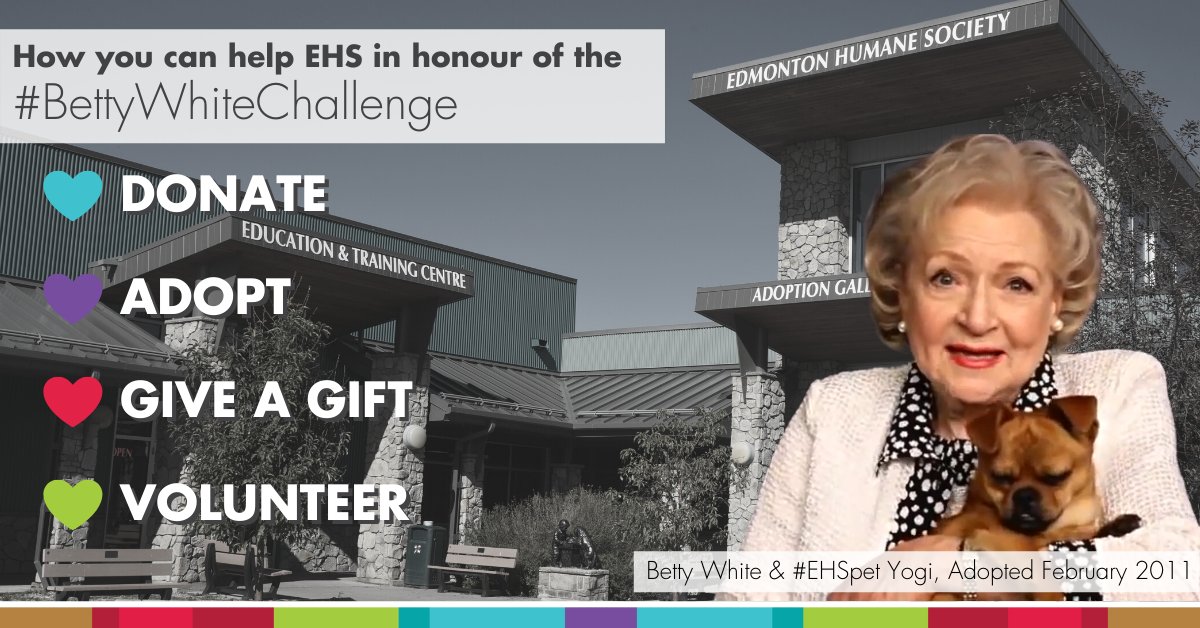 EdmontonHumane's tweet photo. Today is #BettyWhiteDay! Today honours Betty's commitment to animals, on what would have been her 102nd birthday. 

Looking to make a donation in her memory today? Visit: https://t.co/e6LsUw58d3

#donate #adopt #giveagift #volunteer #bettywhitechallenge https://t.co/5G41I3hn7E