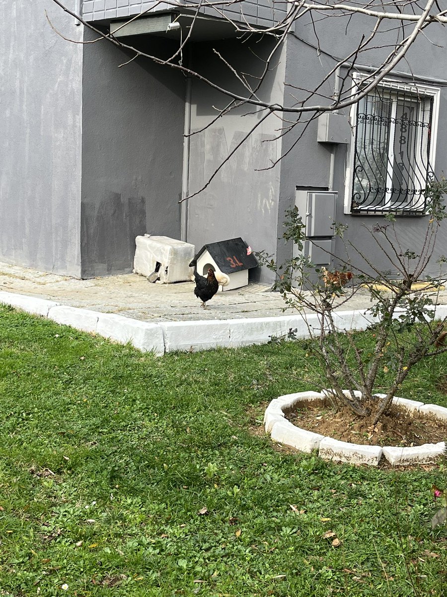 Missbuffay5's tweet photo. Sıradan bir staj gününde agalarımla. https://t.co/VR1Vq9GcVD