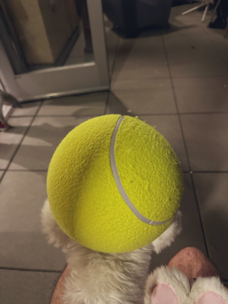 Pawly the Otterpup 💽🐾🔜 LVFC tweet media