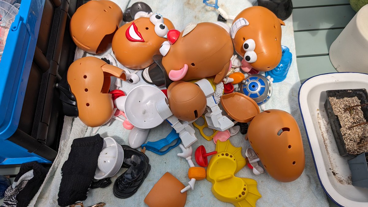 Apparently the time has come to say goodbye. I hope all of you make it to the same home but you all filled out your donor cards so good luck.