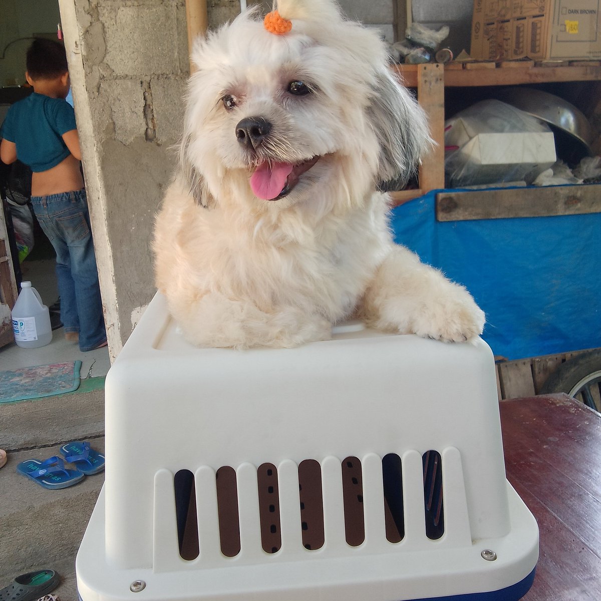 amsequito1017's tweet image. #NewProfilePic