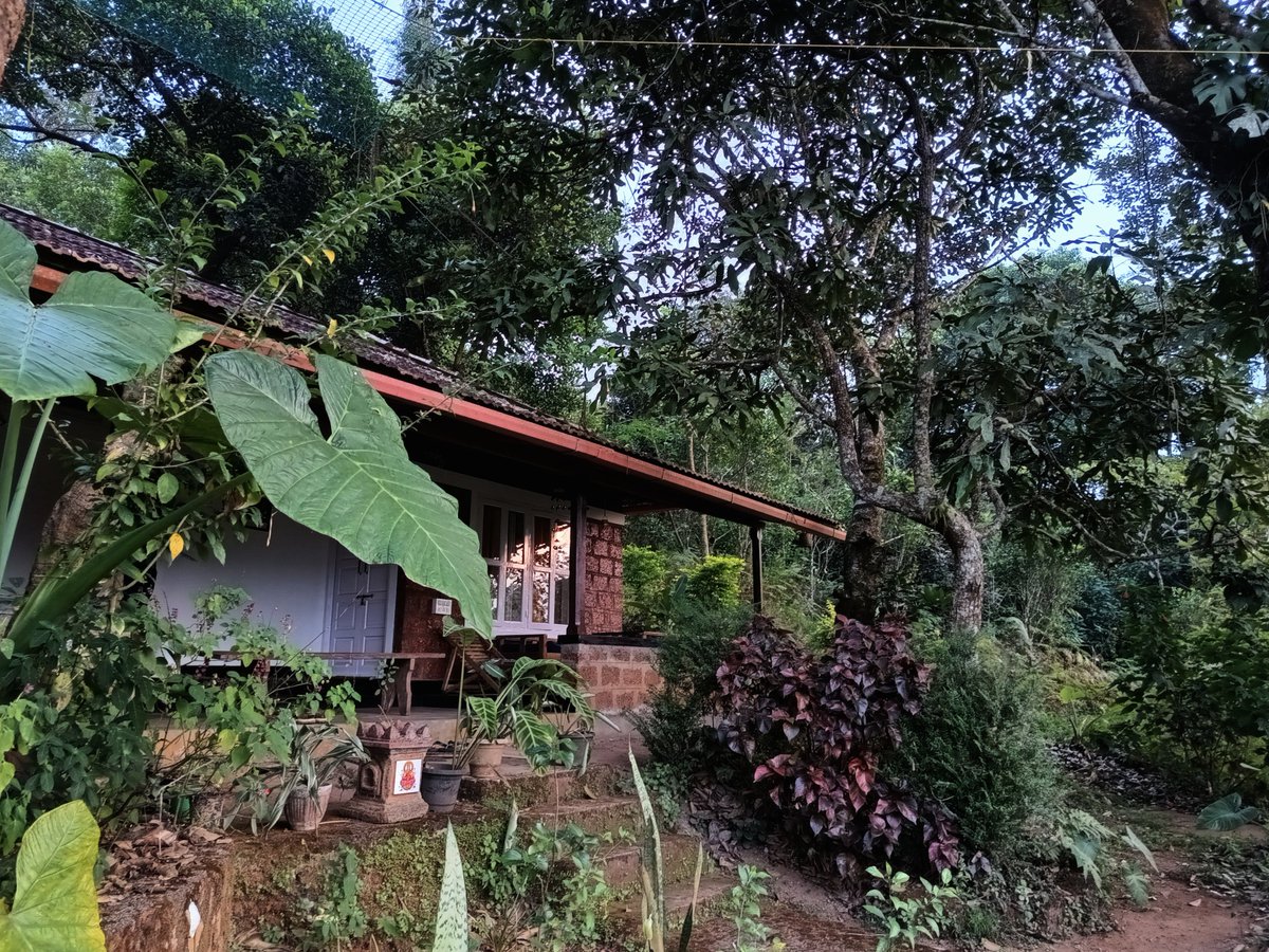 lingerleisure's tweet photo. #Workations amidst the green are the best for creativity, productivity and morning bird calls! :D
stay@linger.in https://t.co/ShfzeTSM00