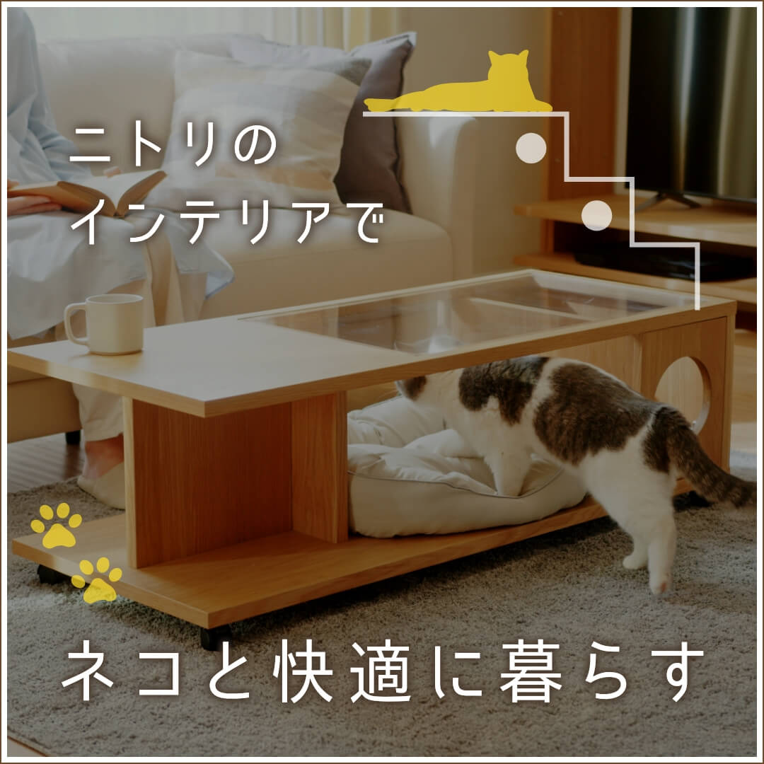 ニトリ в X: „＼ネコと快適に暮らす🐈／ ニトリのインテリア