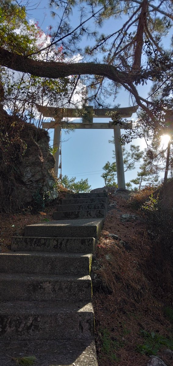 「とある港に良い感じの神祠があったのじゃよ。 逆光の鳥居は勝利」|迂闊十臓🔞(NSFW)『フルチン済監督』のイラスト