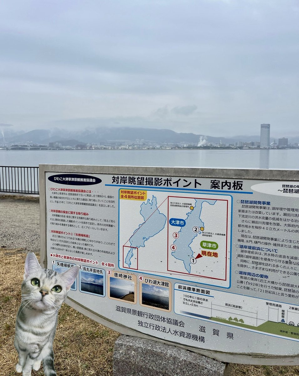 滋賀県大津市で納品を済ませ、今回は琵琶湖を見ることが出来ました🚛💦

ひこにゃんと忍者のお土産も買えたので、安全運転でトコトコ帰ります🐸

雨で比叡山は見れずでしたニャ🐱
