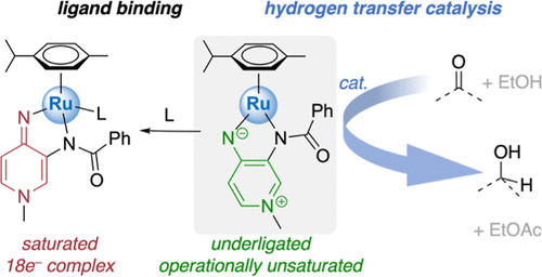 bhkenlo's tweet photo. Air-Stable Coordinatively Unsaturated Ruthenium(II) Complex for Ligand Binding and Catalytic Transfer Hydrogenation of Ketones from Ethanol | Inorganic Chemistry https://t.co/elBWCoxFRZ Albrecht and co-workers @InorgChem #ruthenium #coordinatively_unsaturated #catalysis #H2ation https://t.co/YaXGV0xgSX