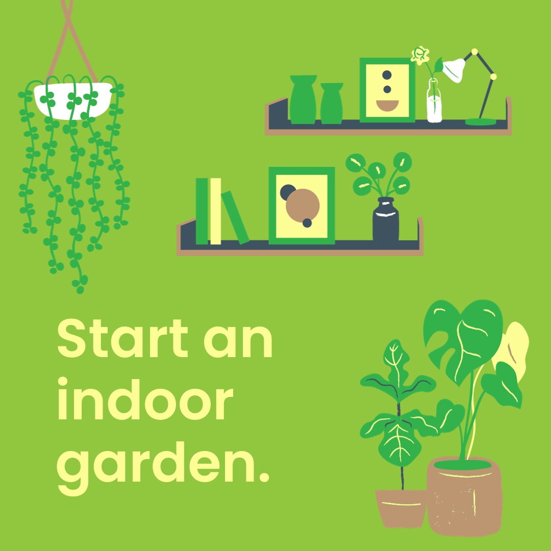 #Sustainability Tip of the Day: Start an indoor garden! Houseplants help create a healthier, more sustainable home by consuming carbon dioxide and purifying the air 🪴