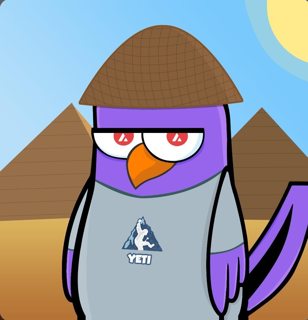 ErkanZeyrek tweet media