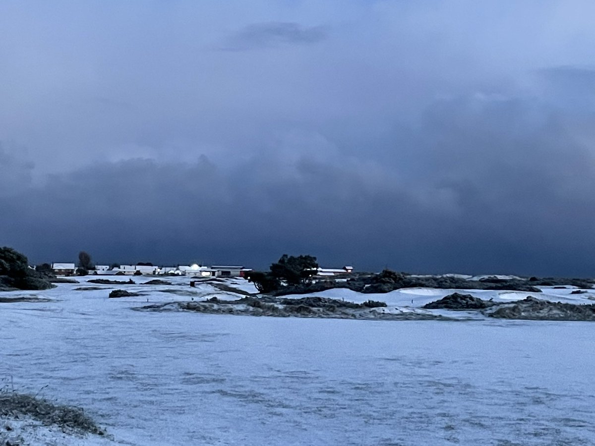 GY & Caister Golf Club ⛳️ tweet media