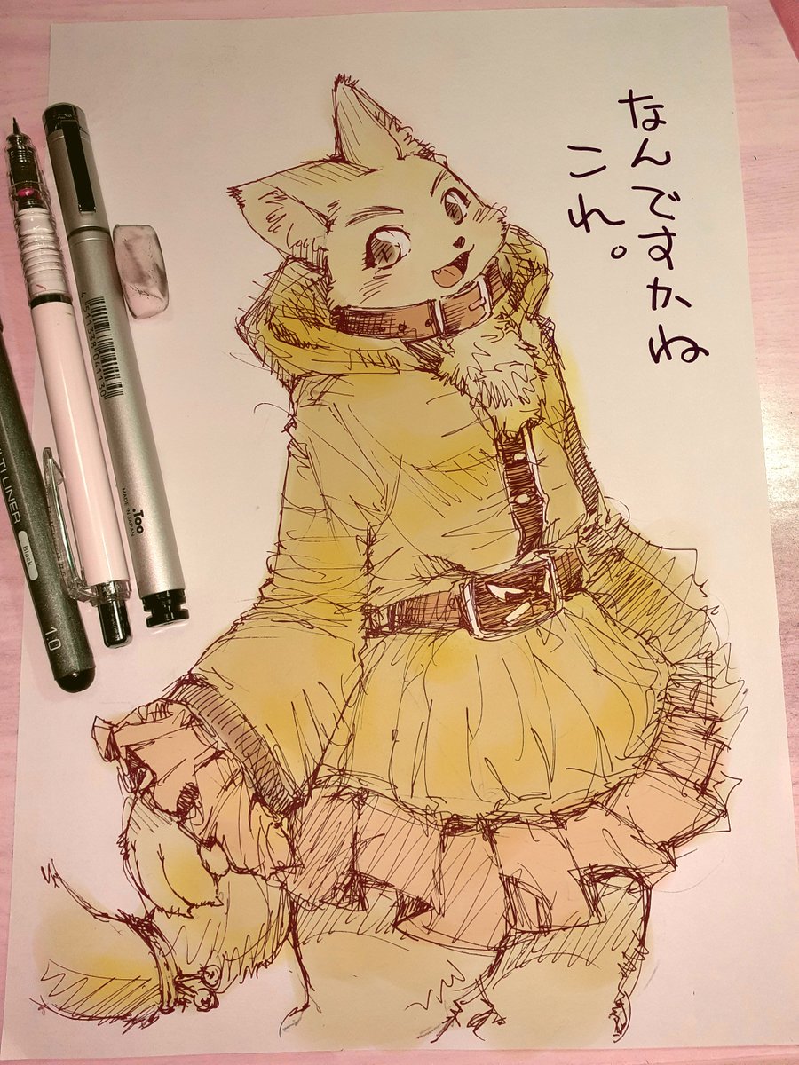 ケモナーって #nekomimi から #furry まで 人外ニッチ趣味の地獄みたいなグラデーションを全部一手に引き受けてくれる とても便利なミームなわけで 個人的に嵌るレンジがあるのも分かりますが 自分の中のここからここまでの幅を広げて楽しめるようになると 趣味にイライラする機会も減ると思いますよ