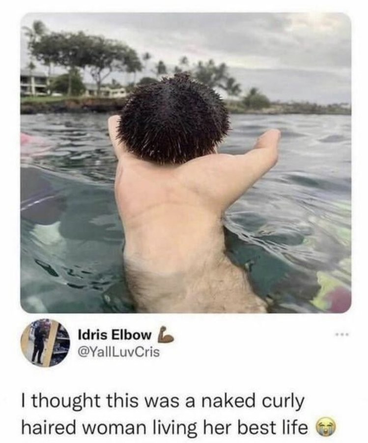 star 💫 tweet media