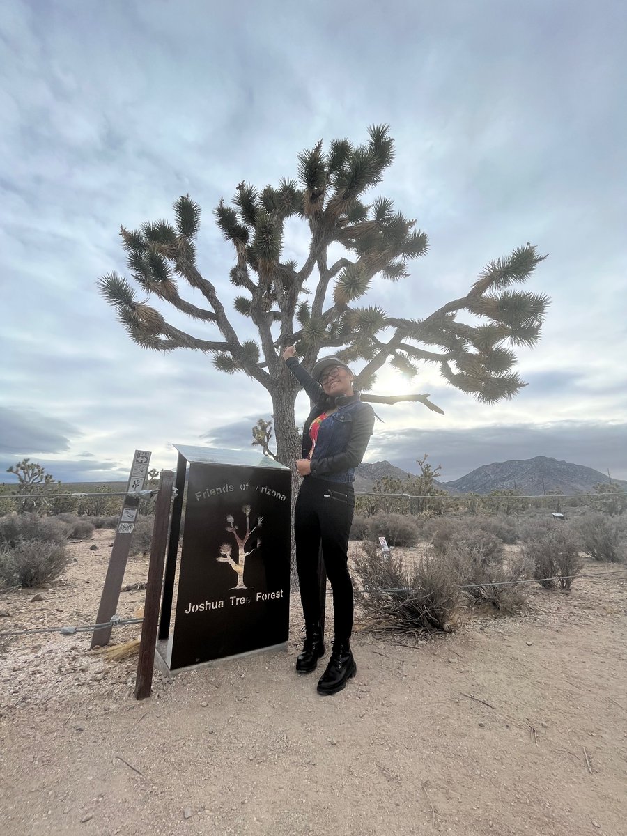 In the midst of a deserted paradise, we stopped by to check out this Joshua tree and it became my personal oasis—a testament to resilience, standing strong even in the harshest conditions. #arizonatravel