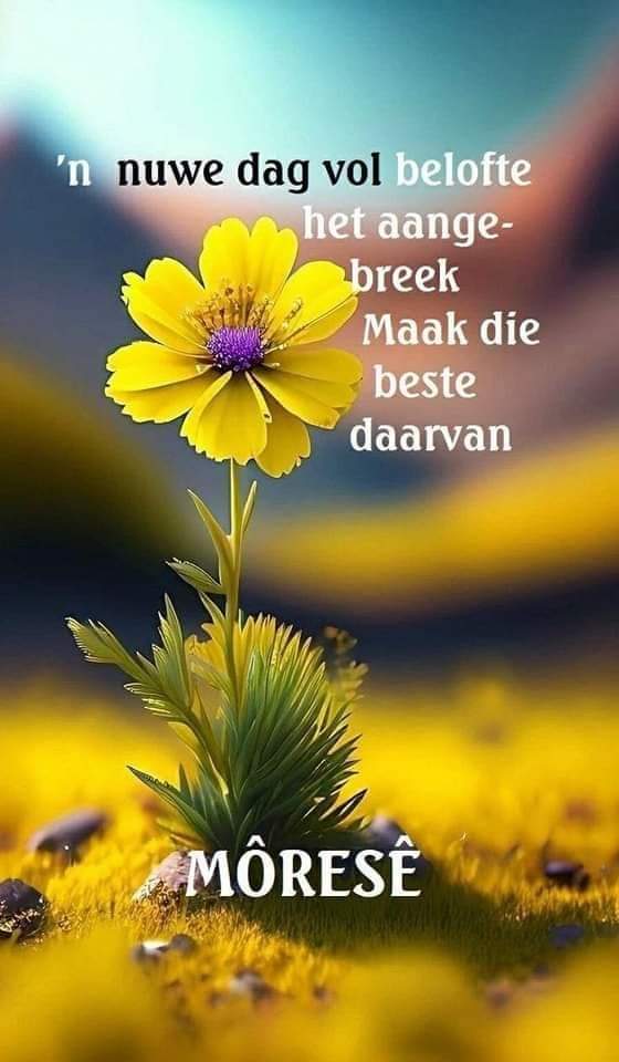 Nisi Ledua tweet media