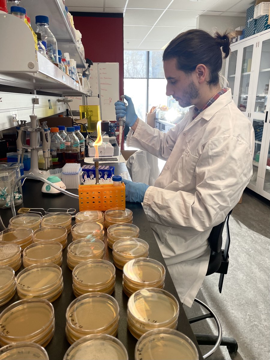 AstroYeast's tweet photo. Evaluating the effectiveness of our sterilization system is crucial. Brian is subjecting various microbes to our sterilization method for validation purposes. https://t.co/f4lZXizatC