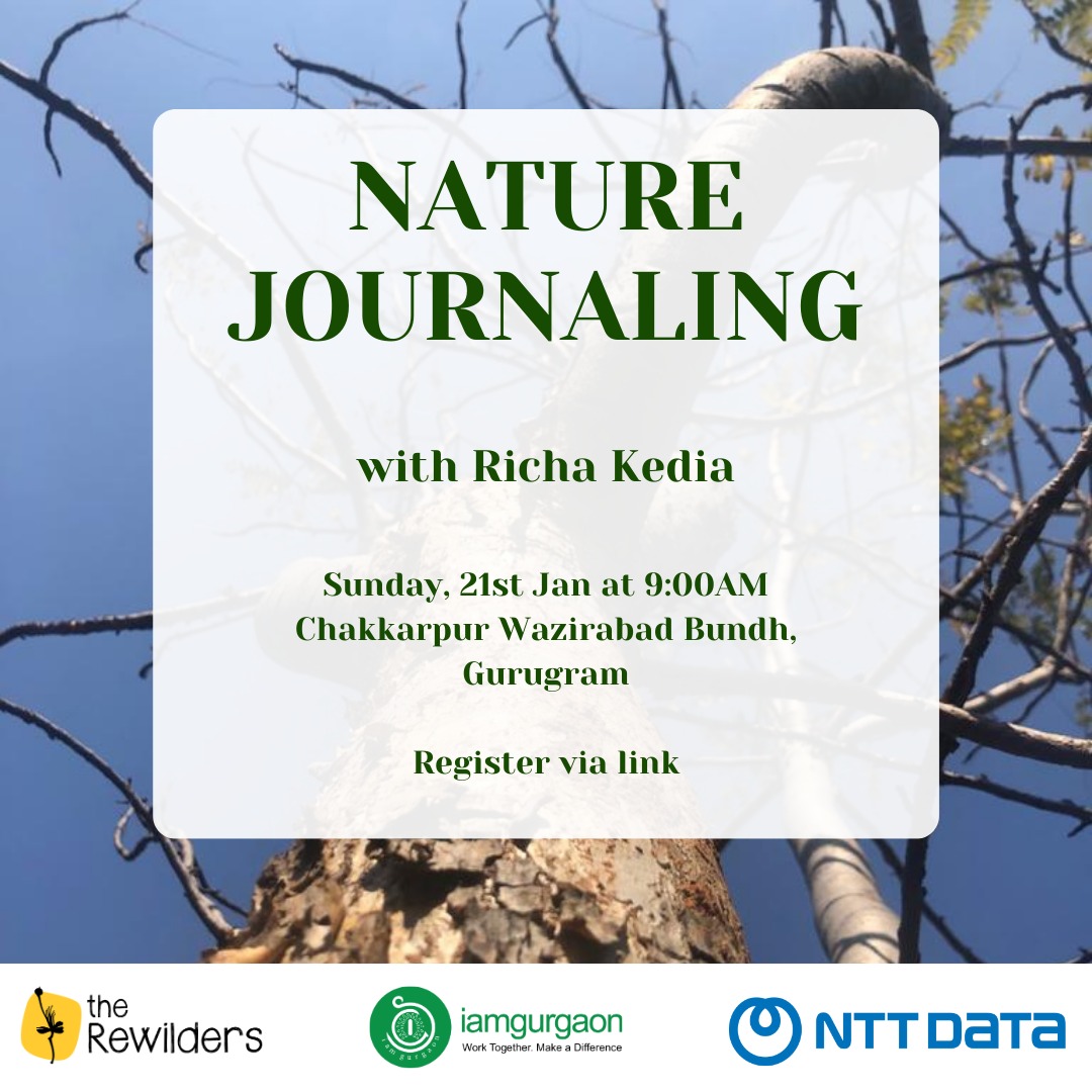 Join us on Sunday, 21st Jan, for my #NatureJournaling session at the Chakkarpur Wazirabad Bundh, an ecologically restored mobility corridor in the heart of Gurgaon.
Limited seats, Register fast!!forms.gle/5j5wALRgh3GVUT…

#artworkshop #Gurgaon #indiaves