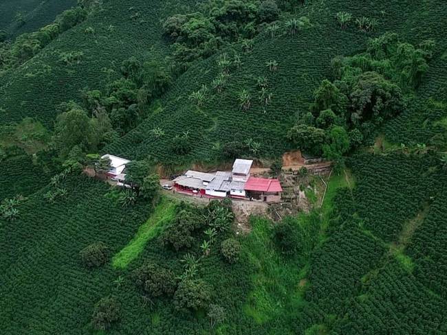 opitalandia11's tweet photo. Hoy el verdadero eje cafetero se encuentra en el Huila. 
1er. productor por 13 años consecutivos.

Para la muestra estos paisajes cafeteros opitas https://t.co/M4UmEpTPAT