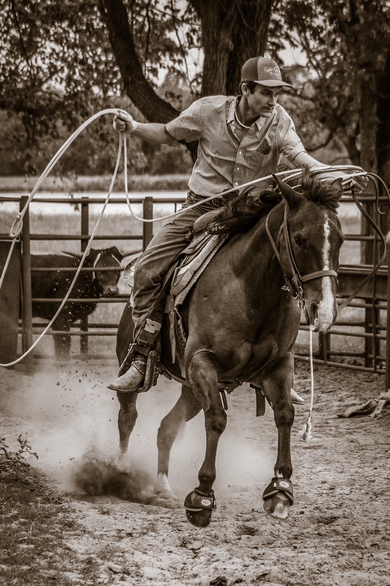 I wanna do another senior session like this 😩
#rodeo #seniorsession #photography #teamroping