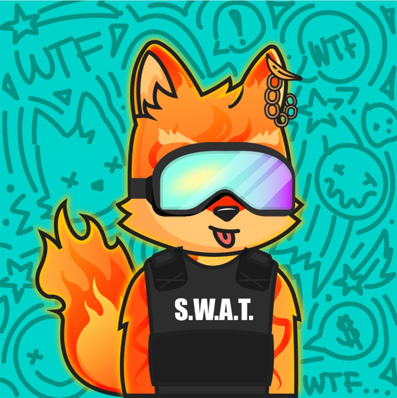 WTFoxes tweet media