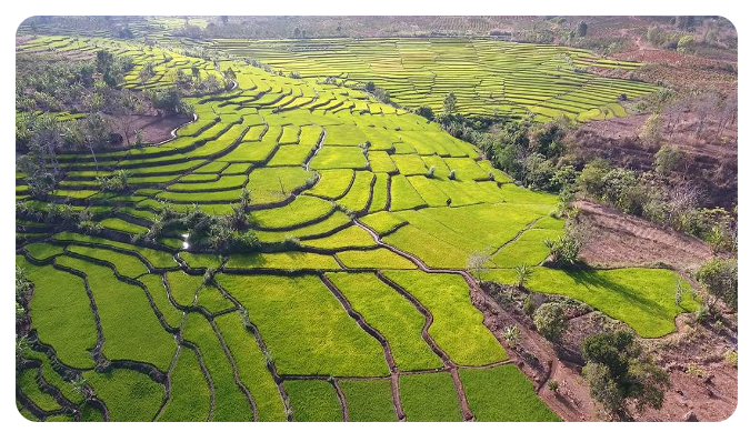 Check in Việt Nam tweet media