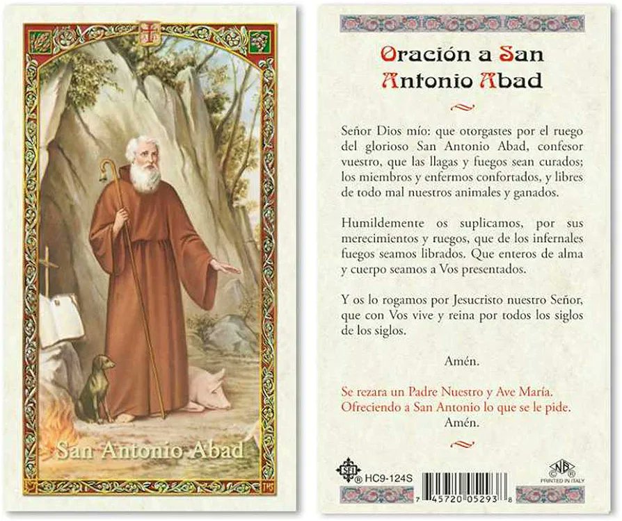 #Santoral
San Antonio Abad fue un monje fundador del movimiento eremítico, modelo de piedad cristiana, referente del ascetismo espiritual y contemplativo católico. Antonio curó la ceguera de los críos de una jabalina y le defendió de cualquier alimaña que se acercara. #17deEnero