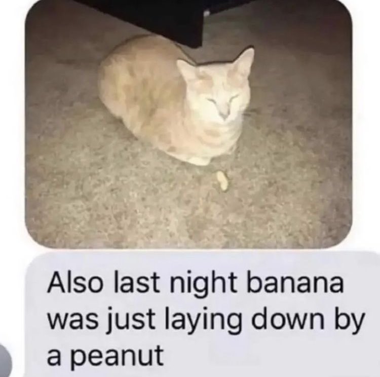 青毛獅子 | Azure Lion (@azureli0nking) on Twitter photo 