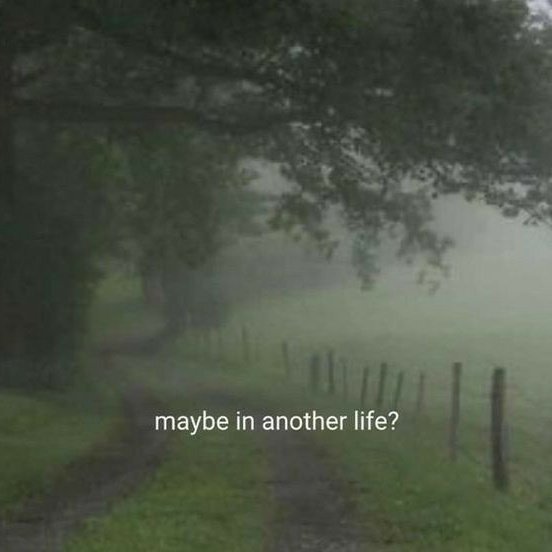 𝙳𝚊𝚗𝚗 土🕷🌐 13/02 🥁 tweet media