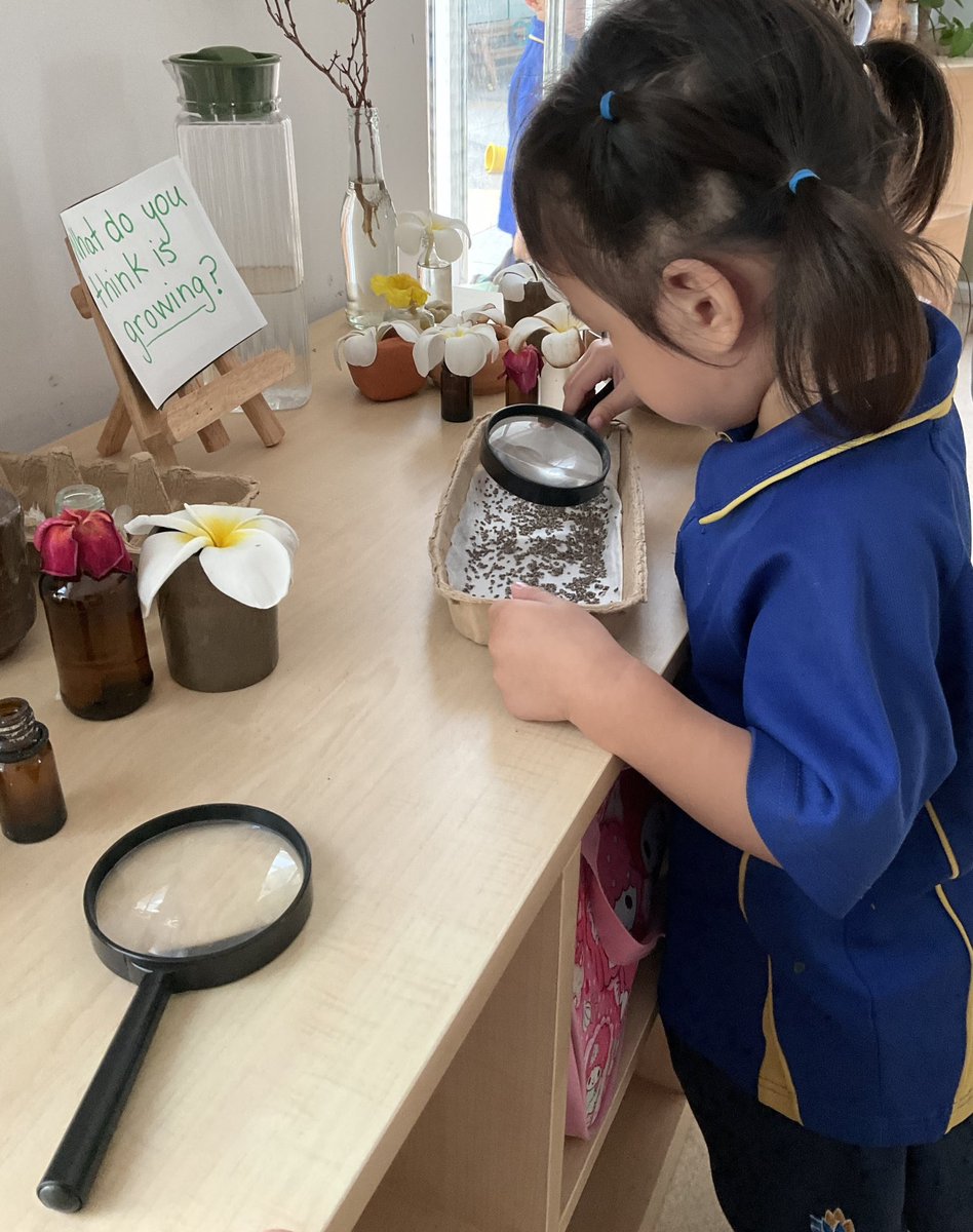 Young scientists at work! 

Observing, making hypothesis, recording data…all through play ✨

#ibpyp #earlyyears #sharingtheplanet