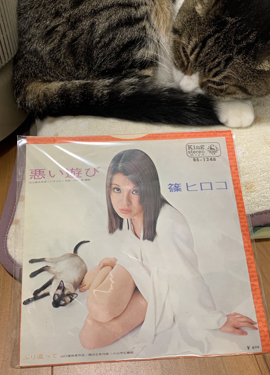 年明けリプレイスレコードさんで買った猫ジャケ！昭和のシャム猫。篠ひろ子さんって女優さんの前は歌手だったとのこと。